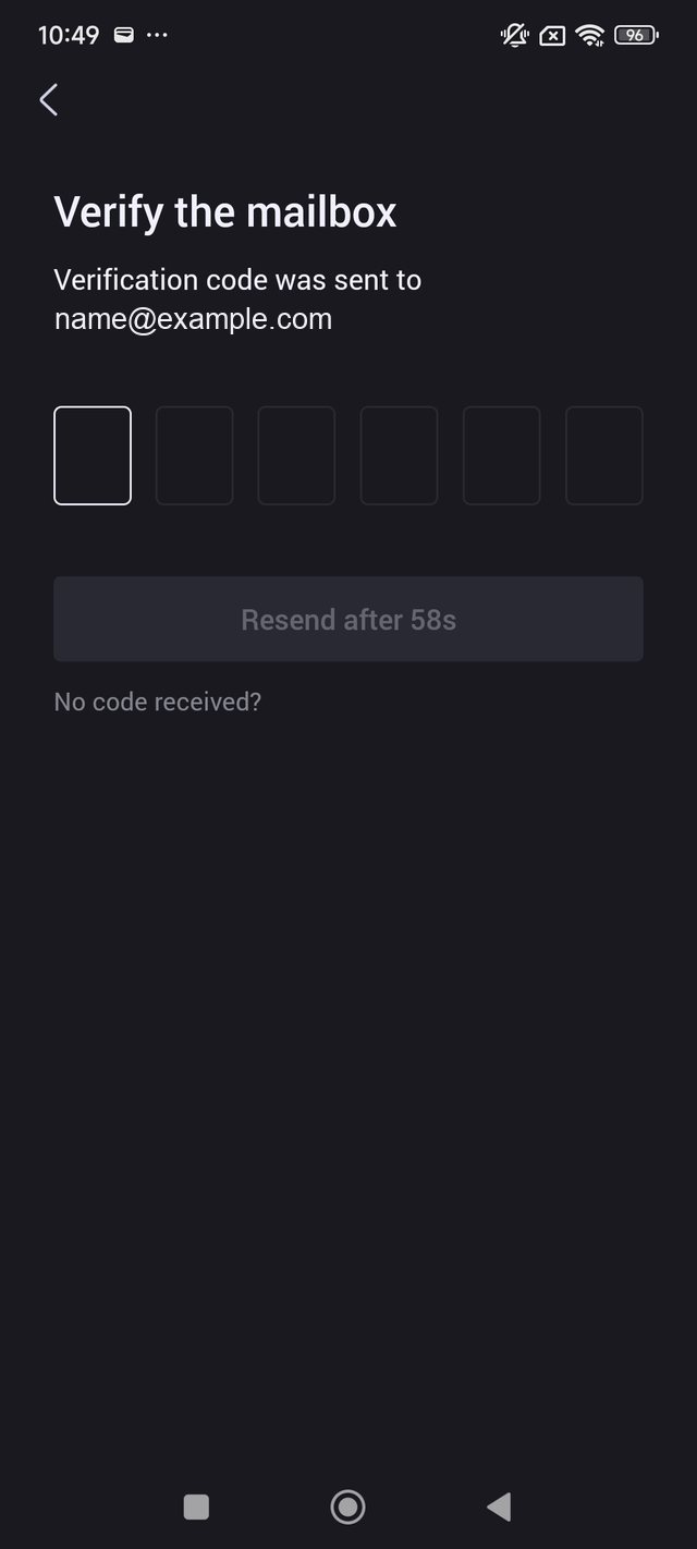 Screen for entering the email verification code